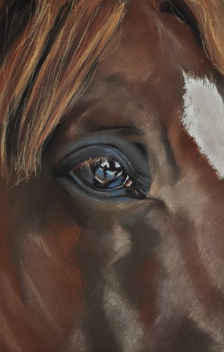 cheval detail 2.jpg - Pastel 40x30